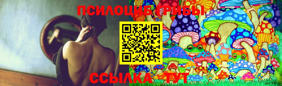 Норильск  Галлюциногенные грибы мухоморы  Вход с VPN 