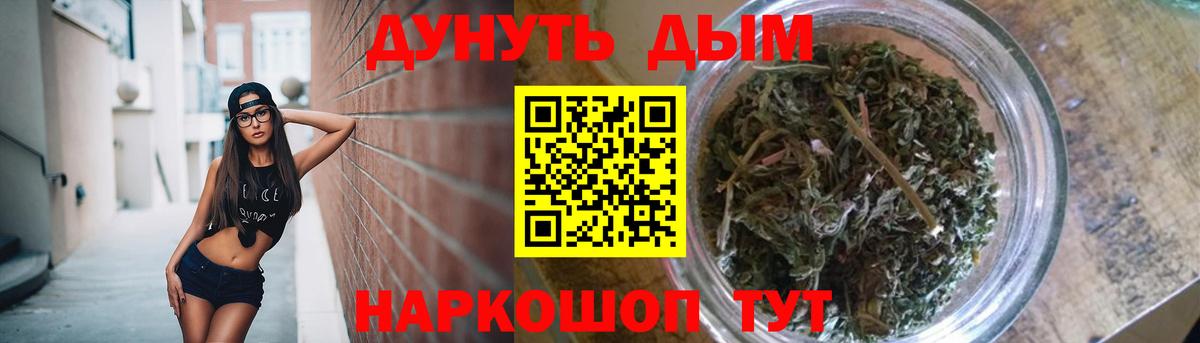 Марихуана сатива  Шишки марихуана план  Вход с VPN  Бошки Шишки AK-47  Норильск 